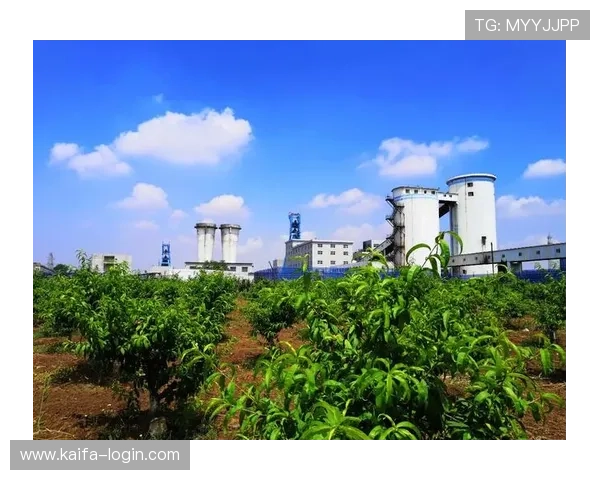 凯发娱乐在线官网积极响应行业监管推动绿色健康娱乐环境 凯发娱乐在线官网积极响应行业监管推动绿色健康娱乐环境