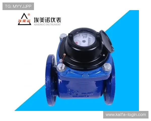 凯发k8官方网址最新入口全面解析帮助用户快速登录体验优质博彩服务 凯发k8官方网址最新入口全面解析帮助用户快速登录体验优质博彩服务